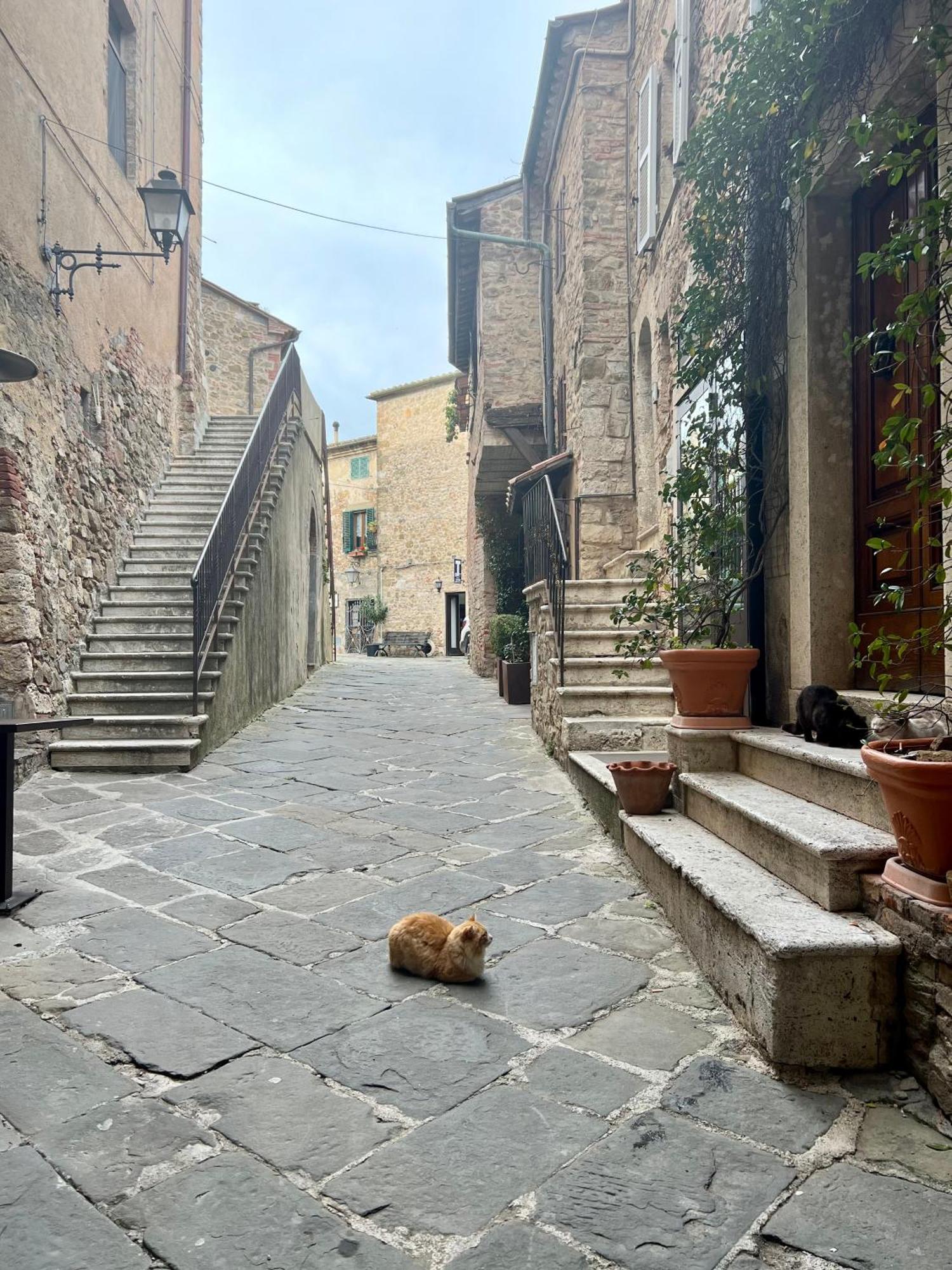 Apartmán Casa Pruno Rosso Montemerano Exteriér fotografie